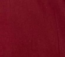 Nepali Petticoat ( पेटिकोट )