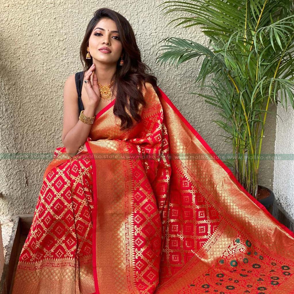 Trending Banarasi Saree with Blouse Piece