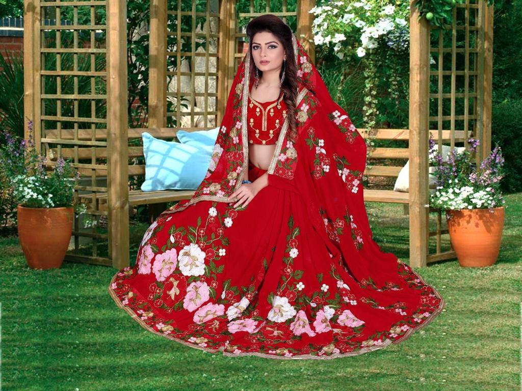 Red Embroidered Saree