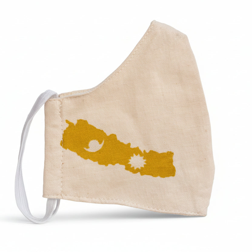 3 Layered Cotton Mask with new Map of Nepal fabric print