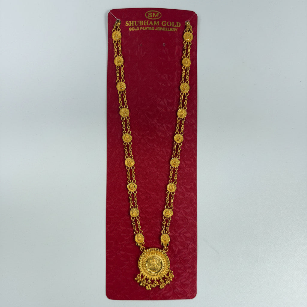 Celebrity Inspired Long Gold Necklace